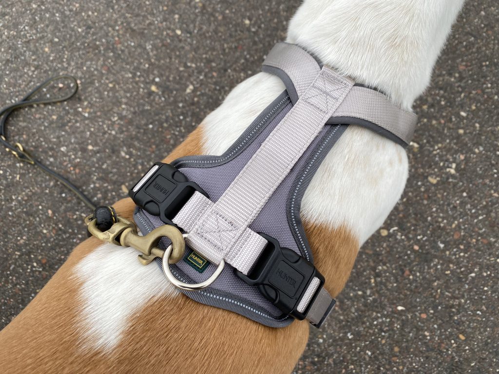 Hunter Neopren Hundegeschirr am Hund Detail Oberseite