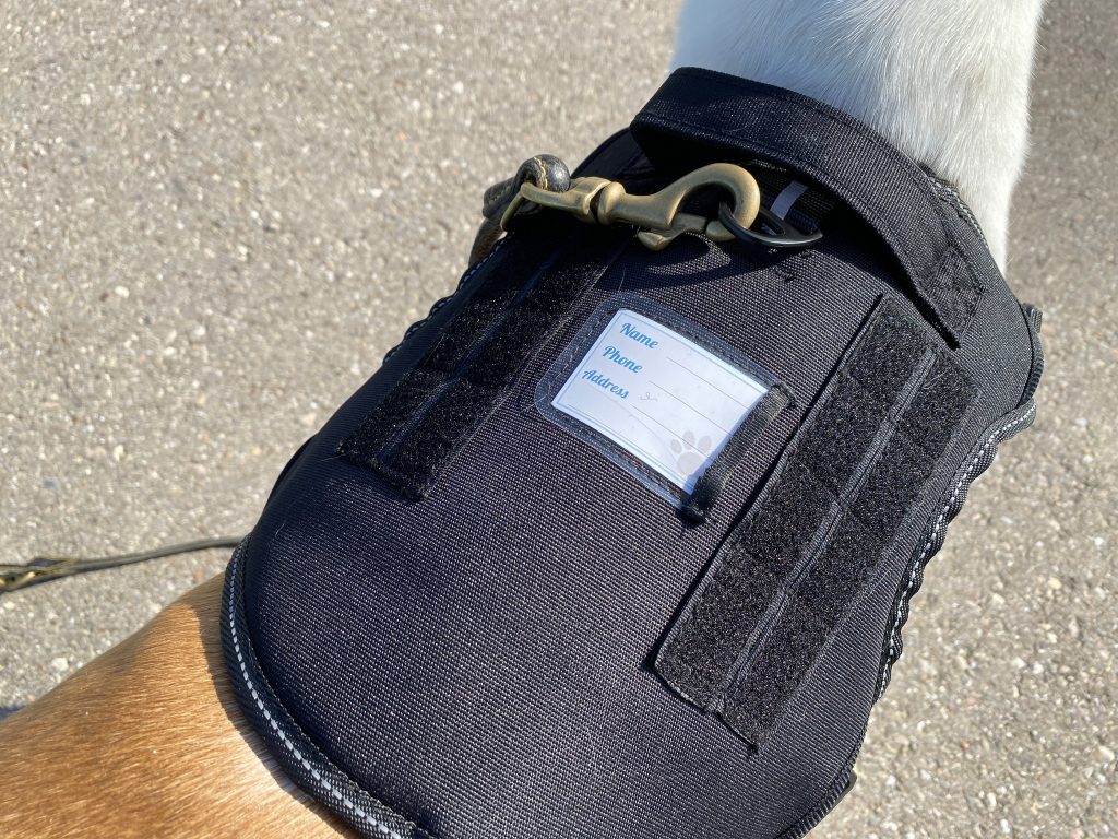 Amazon Basics Anti-Zieh-Hundegeschirr am Hund Detail Oberseite