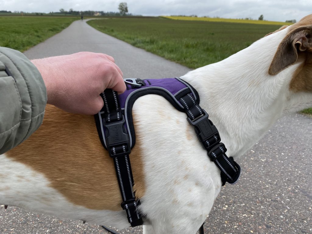 HEELE Hundegeschirr am Hund Detail Griff halten
