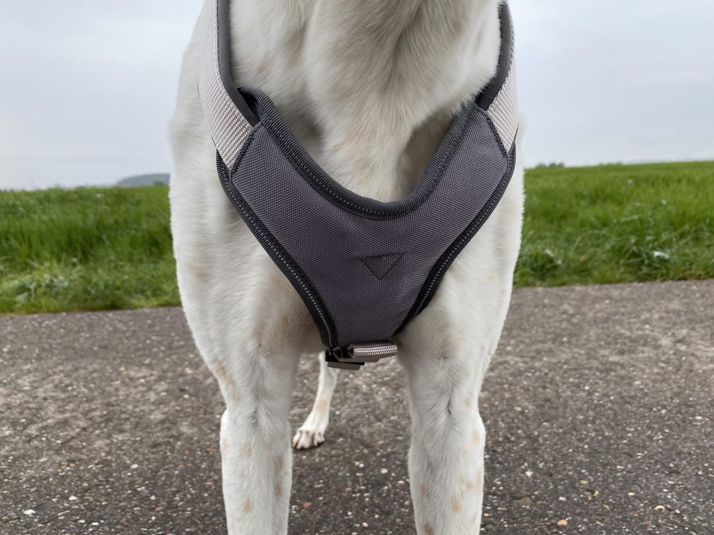 Hunter Neopren Hundegeschirr am Hund Detail Vorderseite