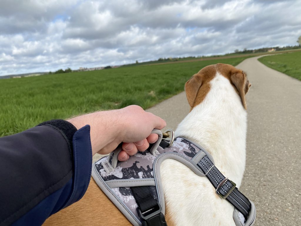 Eyein Hundegeschirr am Hund Detail Griff halten