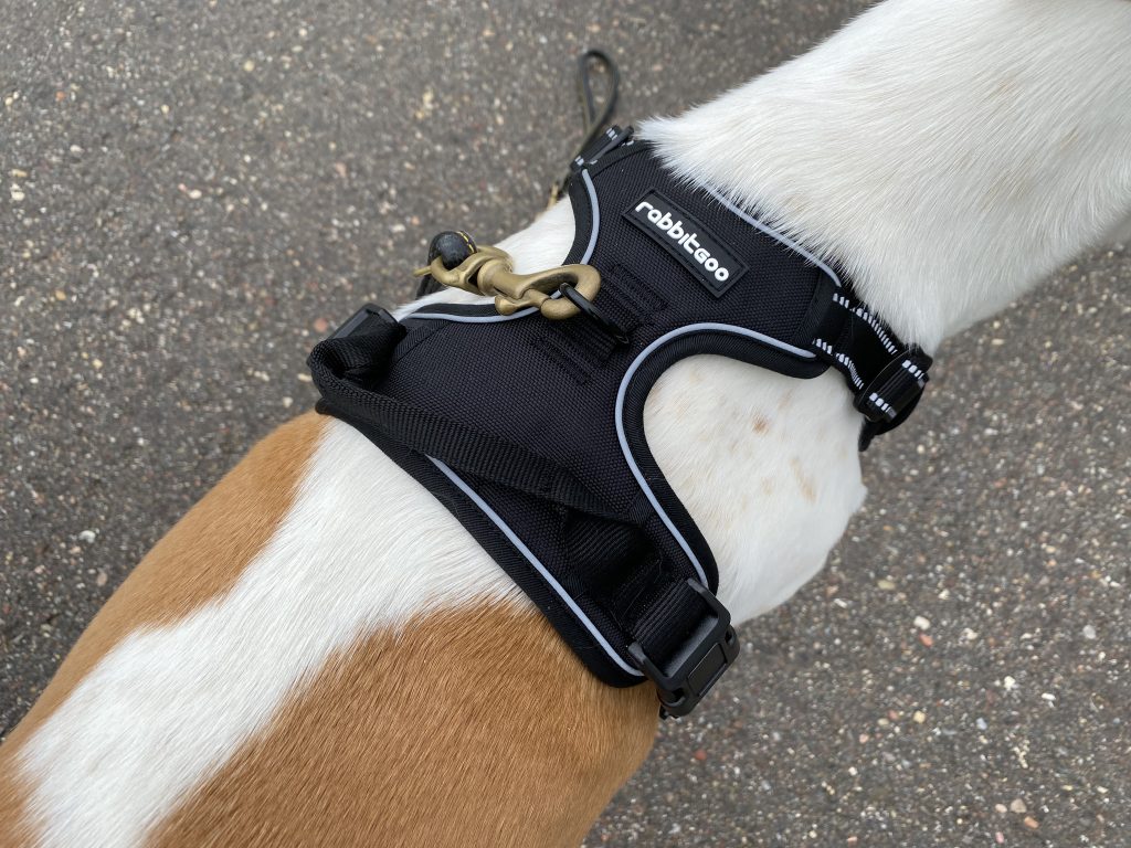 Rabbitgoo DTCW006 Hundegeschirr am Hund Detail Oberseite