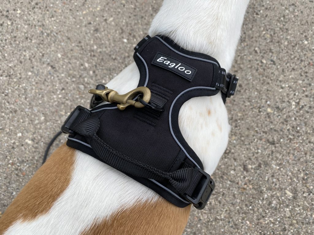 Eagloo ‎DTCW006 Hundegeschirr am Hund Detail Oberseite