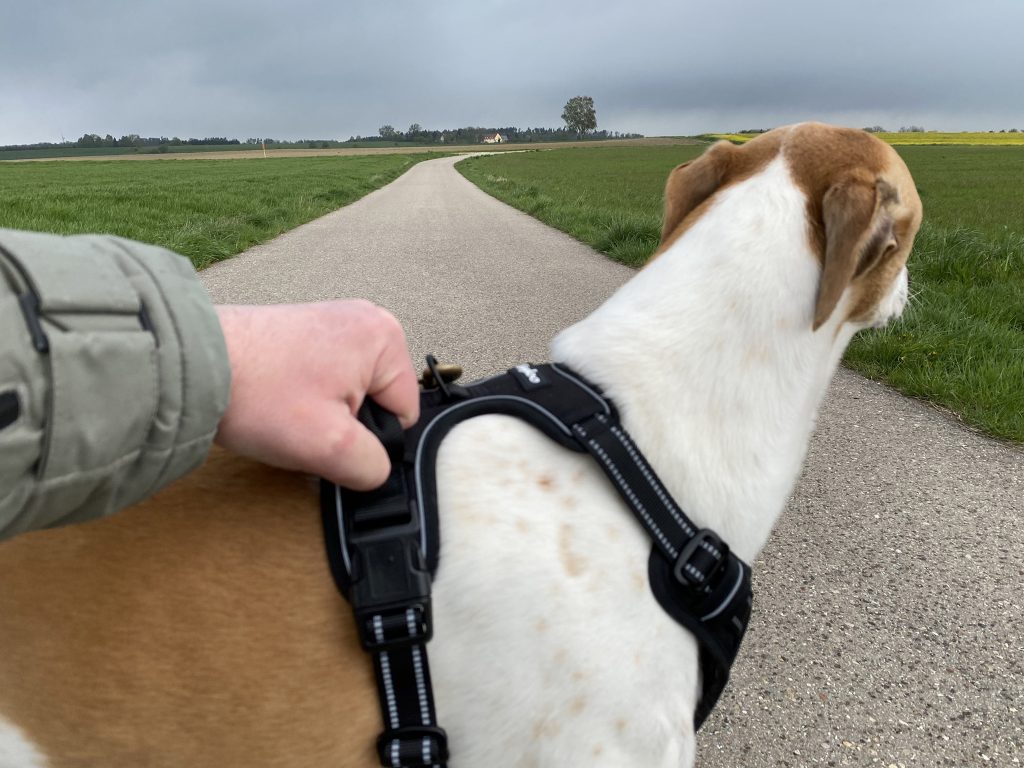 Eagloo ‎DTCW006 Hundegeschirr am Hund am Hund Detail Griff halten