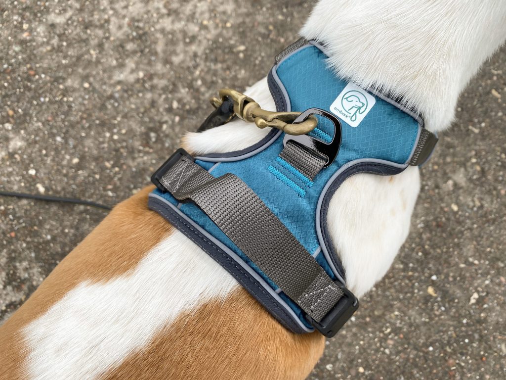 Embark No-Pull Hundegeschirr am Hund Detail Oberseite
