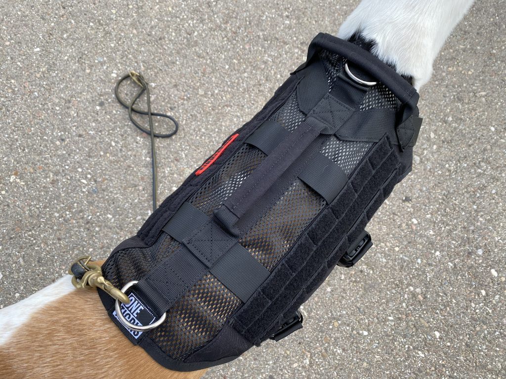 OneTigris No-Pull Hundegeschirr am Hund Detail Oberseite