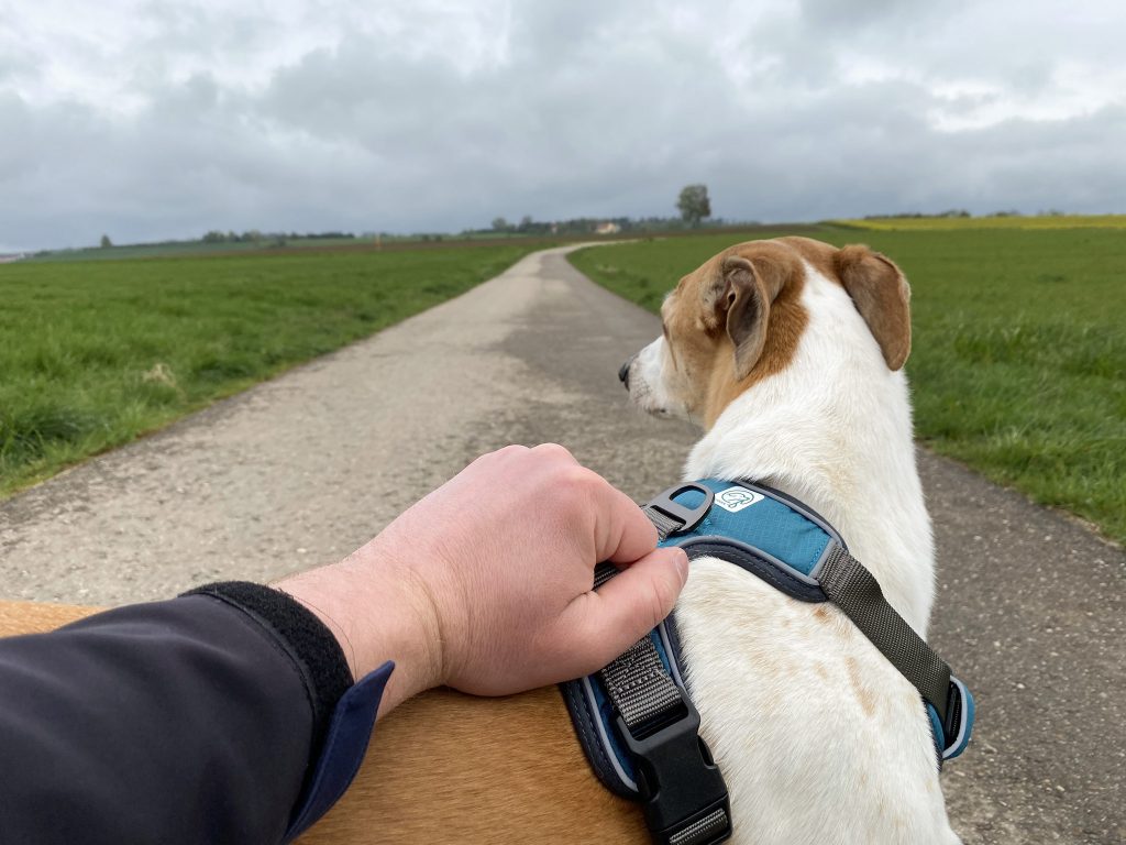 Embark No-Pull Hundegeschirr am Hund Detail Griff halten