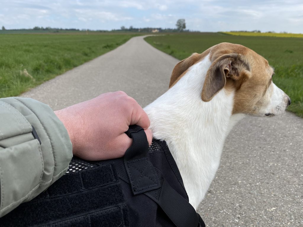 OneTigris No-Pull Hundegeschirr am Hund Detail Griff halten 1