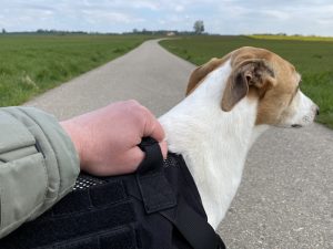 OneTigris No-Pull Hundegeschirr am Hund Detail Griff halten 1