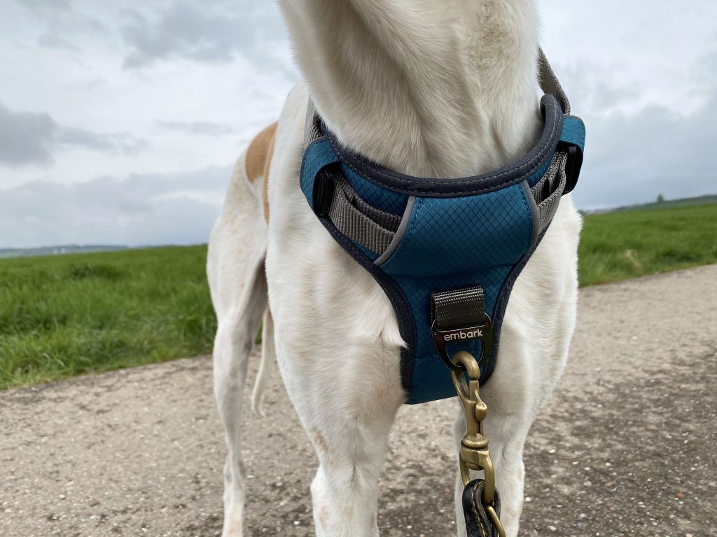 Embark No-Pull Hundegeschirr am Hund Detail Vorderseite