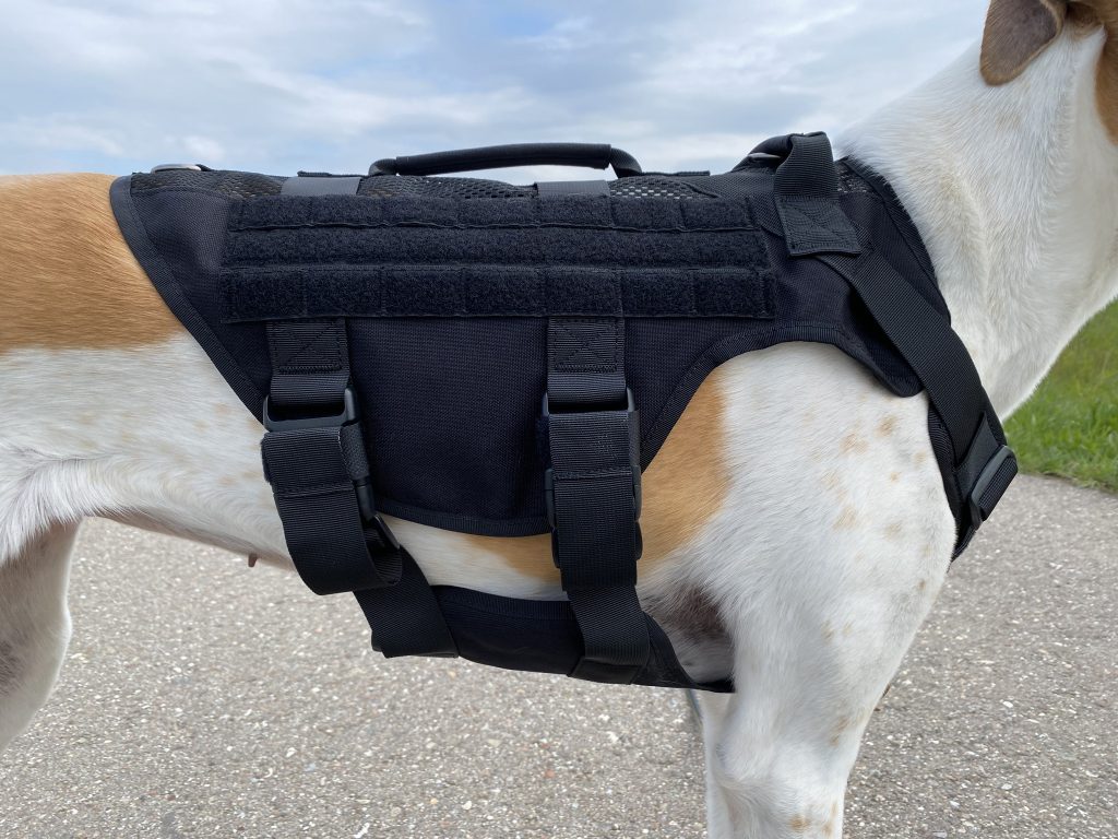 OneTigris No-Pull Hundegeschirr am Hund Detail Seite