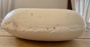 Amazon Basics Nackenkissen ohne Bezug von der Seite