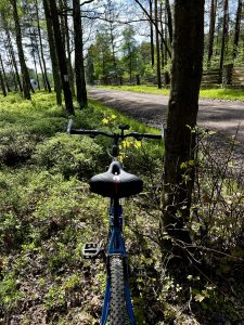 WITTKOP Medicus Grande Citta Fahrradsattel von hinten