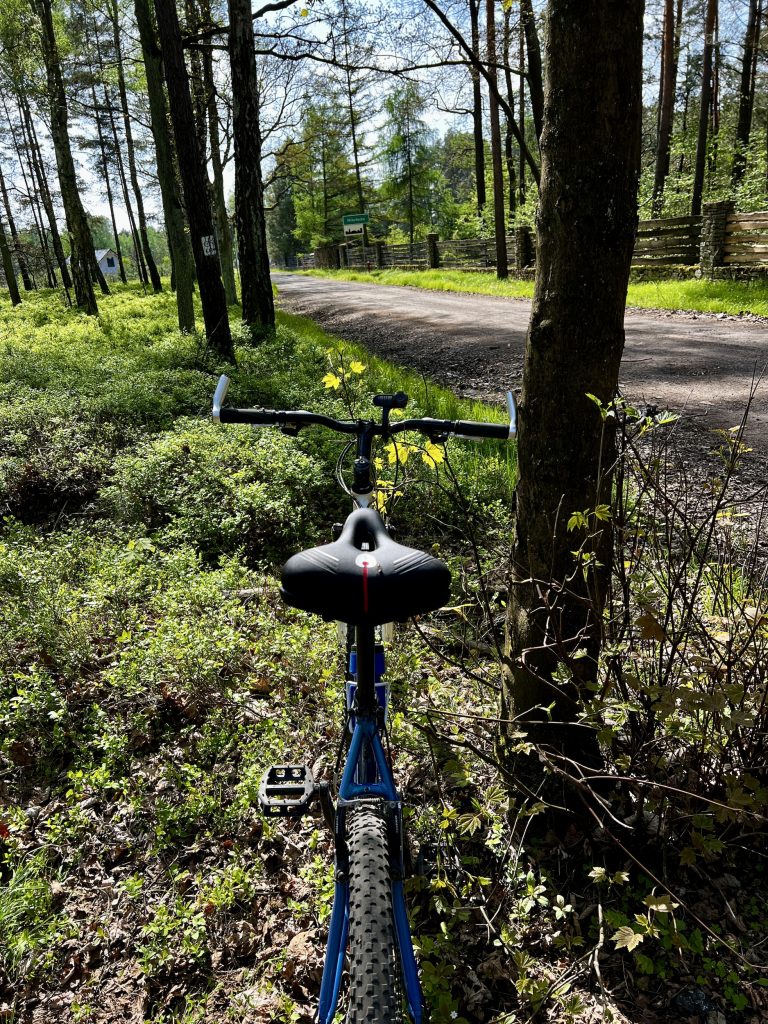 WITTKOP Medicus Grande Citta Fahrradsattel von hinten