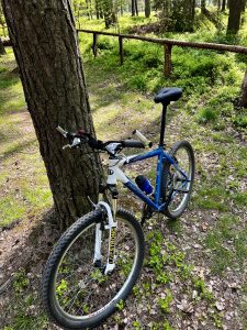 dewilo Fahradsattel auf einem MTB montiert