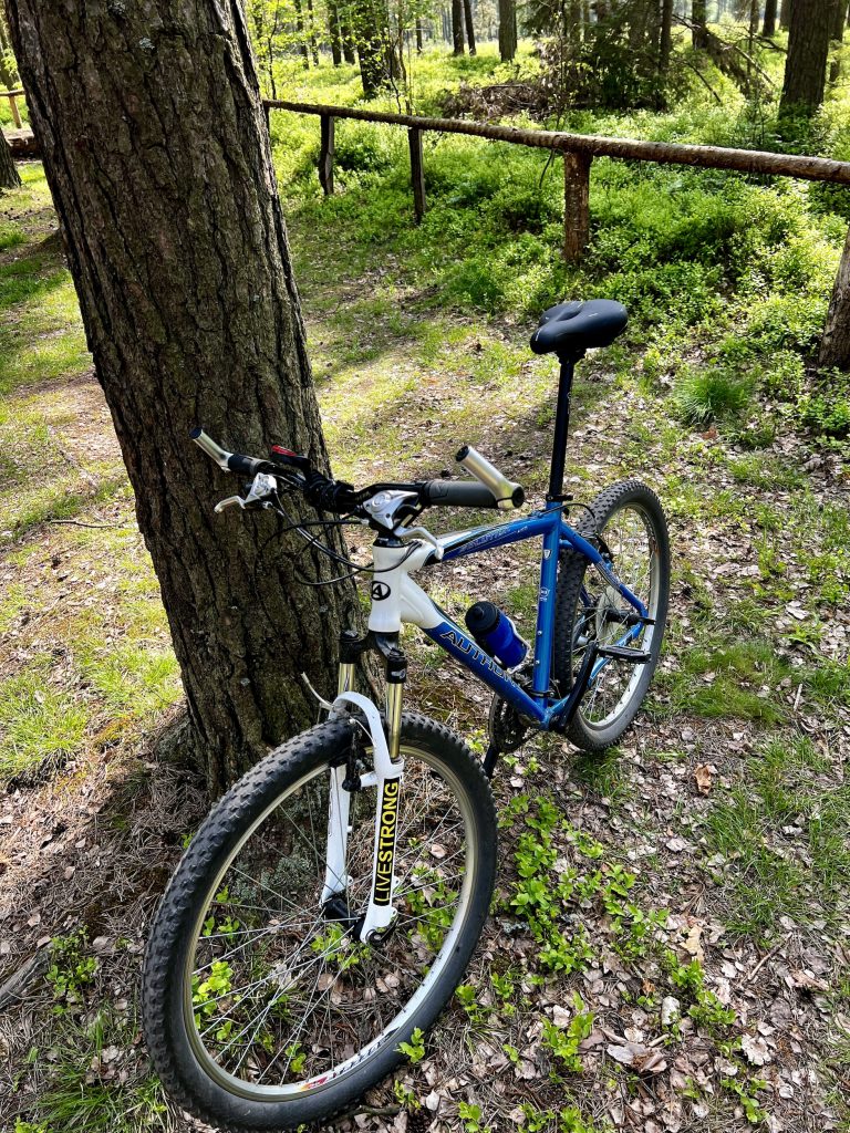 dewilo Fahradsattel auf einem MTB montiert