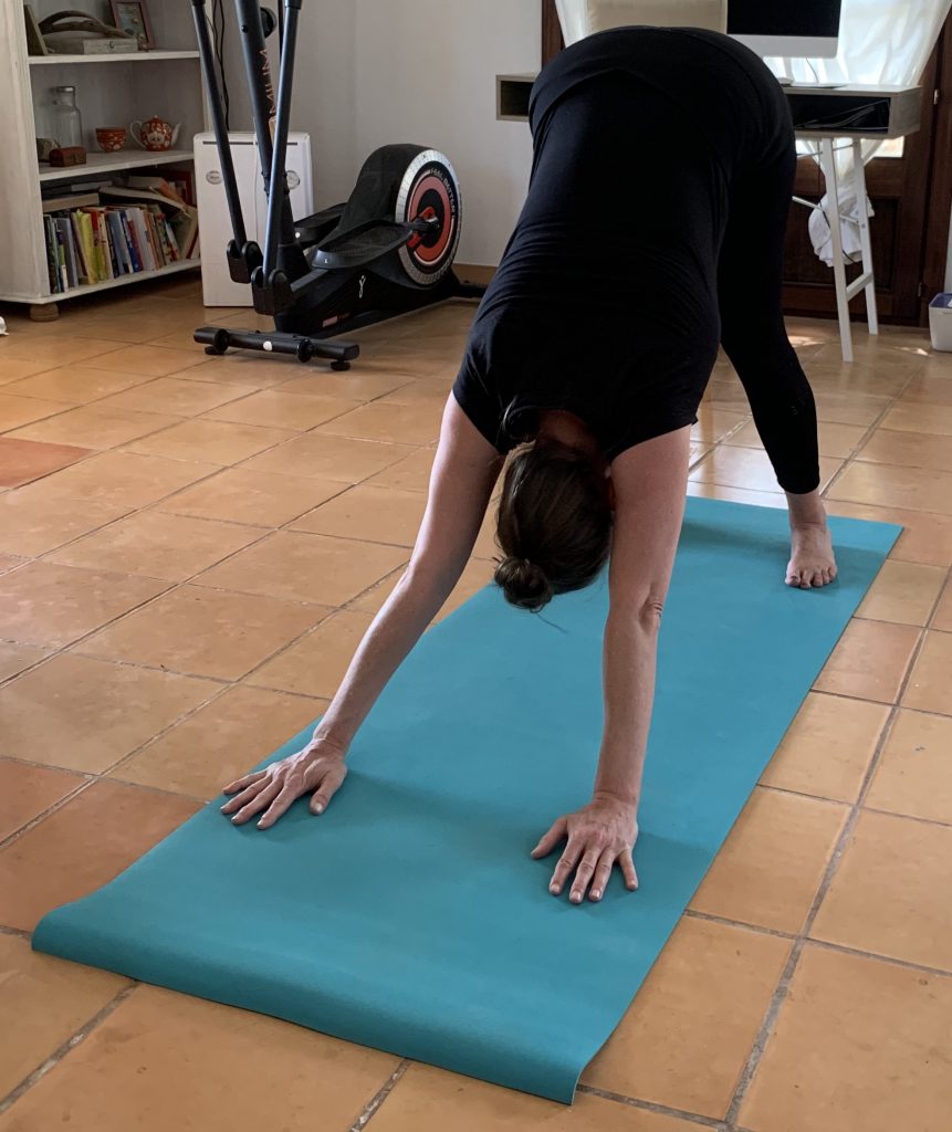 JadeYoga Harmony Yogamatte Praxistest herabschauender Hund
