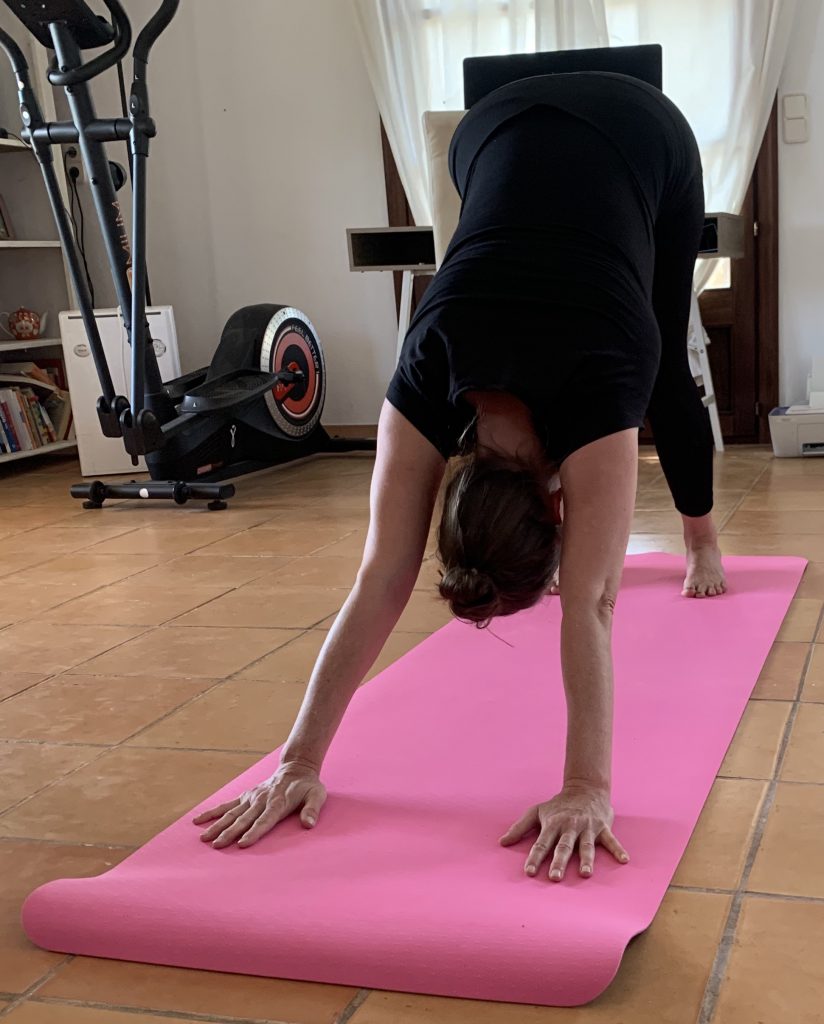 Schildkröt ‎960067 Yogamatte Praxistest Herabschauender Hund