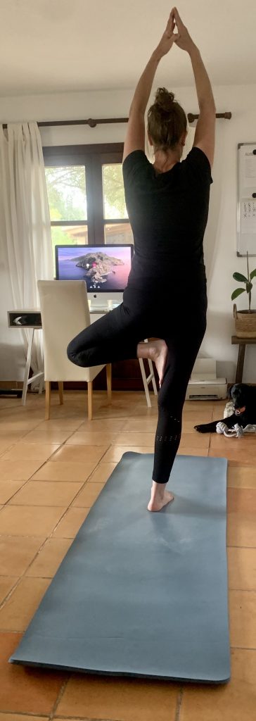 TRESKO HU-XI-201 Gymnastikmatte Gleichgewichtsübungen