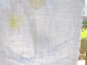 Ariel Allin1 PODS Waschmittel, Ergebnis Kaltwäsche 30 Grad im Durchlicht, unterer Abschnitt
