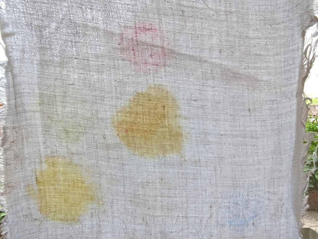Ariel Color+ Waschmittel, Ergebnis Kaltwäsche 30 Grad, im Durchlicht, oberer Abschnitt