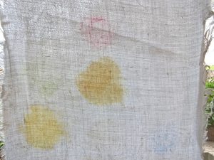 Ariel Color+ Waschmittel, Ergebnis Kaltwäsche 30 Grad, im Durchlicht, oberer Abschnitt