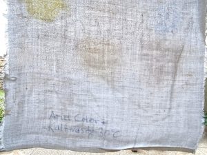 Ariel Color+ Waschmittel, Ergebnis Kaltwäsche 30 Grad, im Durchlicht, unterer Abschnitt