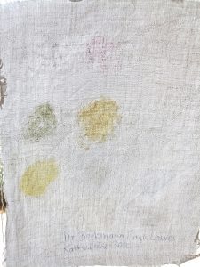 Dr. Beckmann MAGIC LEAVES Waschmittel, ErgebnisKaltwäsche 30 Grad im Durchhlicht