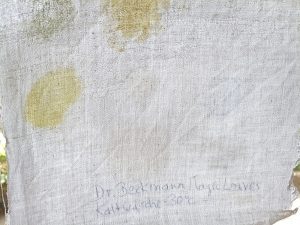 Dr. Beckmann Magic Leaves Waschmittel, Ergebnis Kaltwäsche 30 Grad, unterer Abschn, Durchlicht