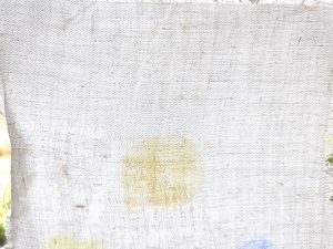Ecover Universal Waschmittel, Ergebnis Kaltwäsche 30 Grad im Durchlicht, oberer Abschnitt