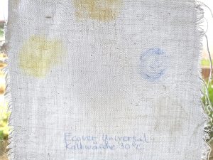 Ecover Universal Waschmittel, Ergebnis Kaltwäsche 30 Grad im Durchlicht, unterer Abschnitt