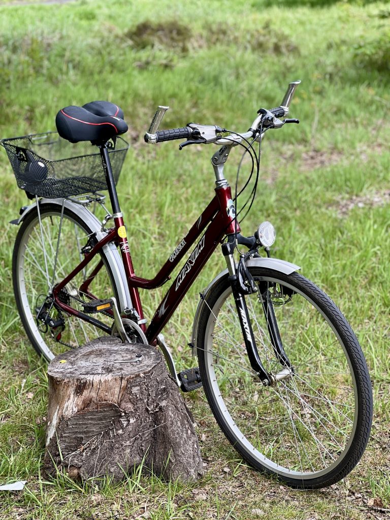 Youngdo Fahrradsattel auf einem Tourenrad