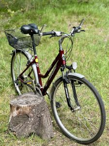 SPGOOD Premium Fahrradsattel auf einem Tourenrad