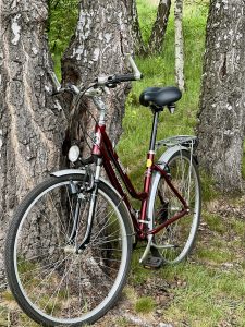 Selle Royal Manhattan Fahrradsattel auf einem Tourenbike