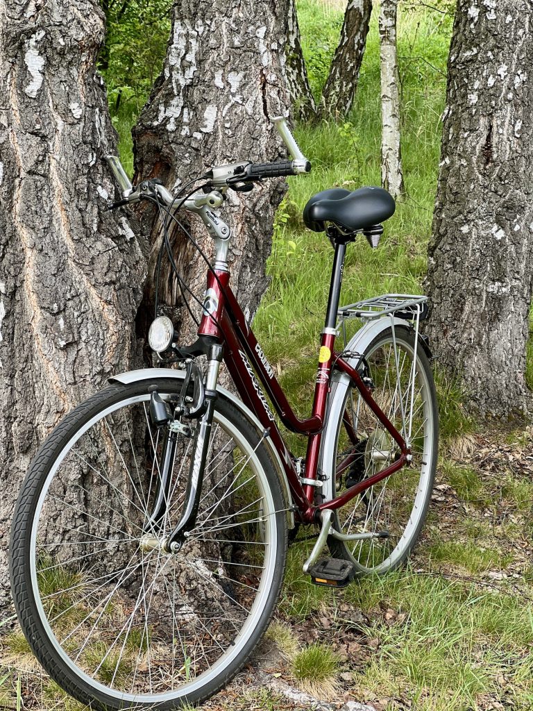 Selle Royal Manhattan Fahrradsattel auf einem Tourenbike