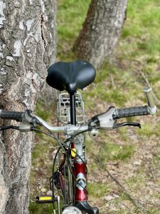 Selle Royal Manhattan Fahrradsattel von vorne