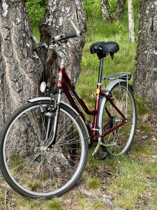 Bikeroo FBA Cruiser Fahrradsattel auf einem Tourenbike