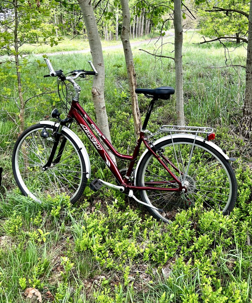SQlab 621 Ergolux Active 2.0 Fahrradsattel auf einem Tourenrad
