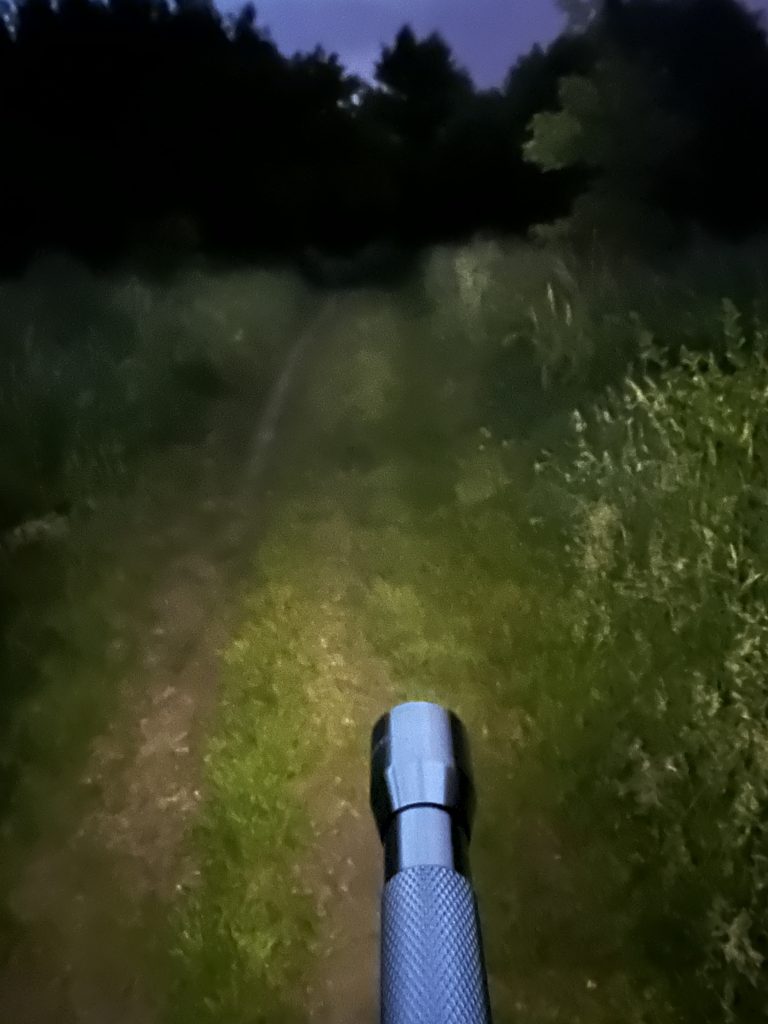 VARTA F10 Taschenlampe im Test