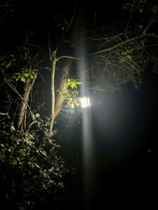 Lighting Ever Taschenlampe im Test