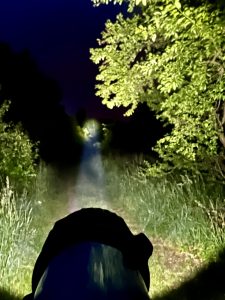 Lighting Ever Taschenlampe im Test