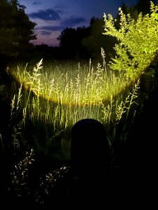Ledlenser MT14 LED Taschenlampe im Test
