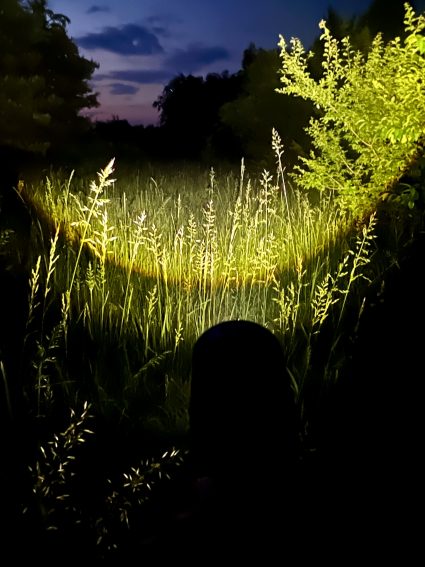 Ledlenser MT14 LED Taschenlampe im Test