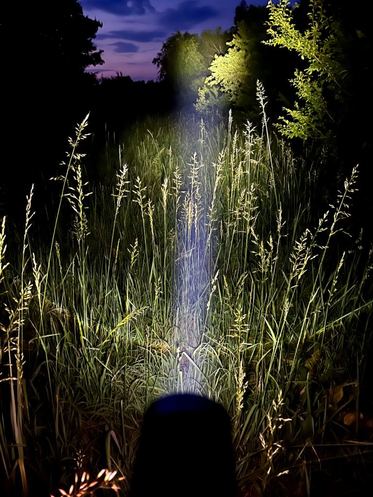Ledlenser MT14 LED Taschenlampe im Test