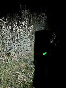 Taschenlampe HL 1000 A von Brennenstuhl im Test