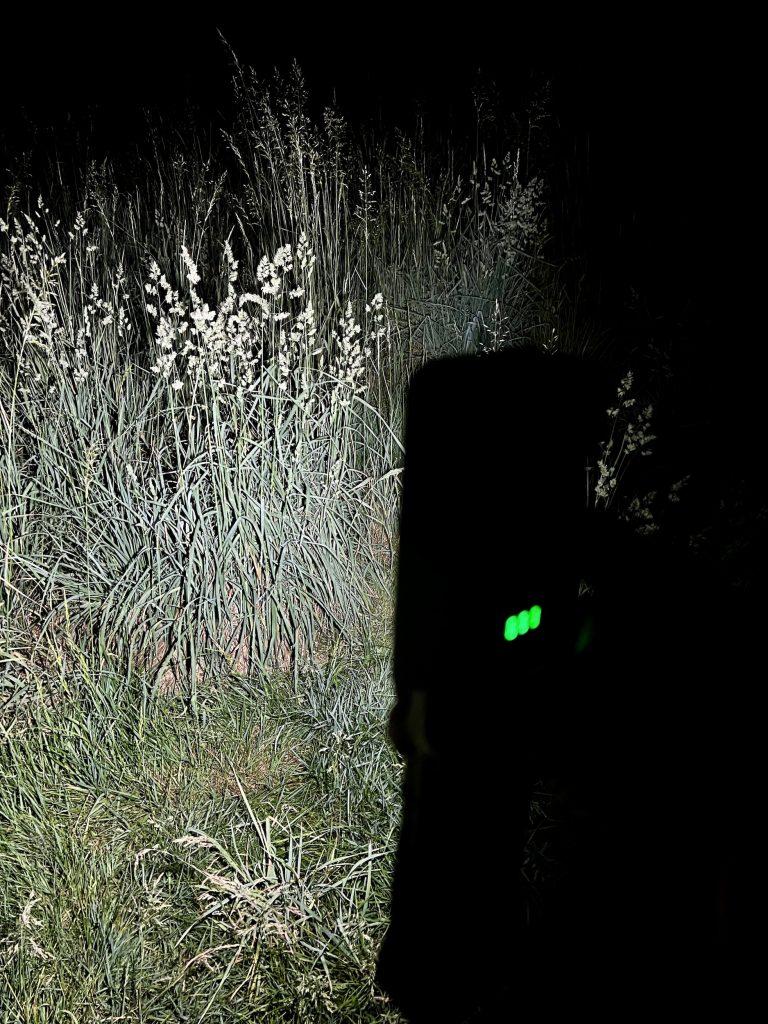 Taschenlampe HL 1000 A von Brennenstuhl im Test