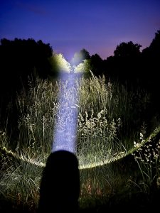 Ledlenser P7R LED Taschenlampe im Test