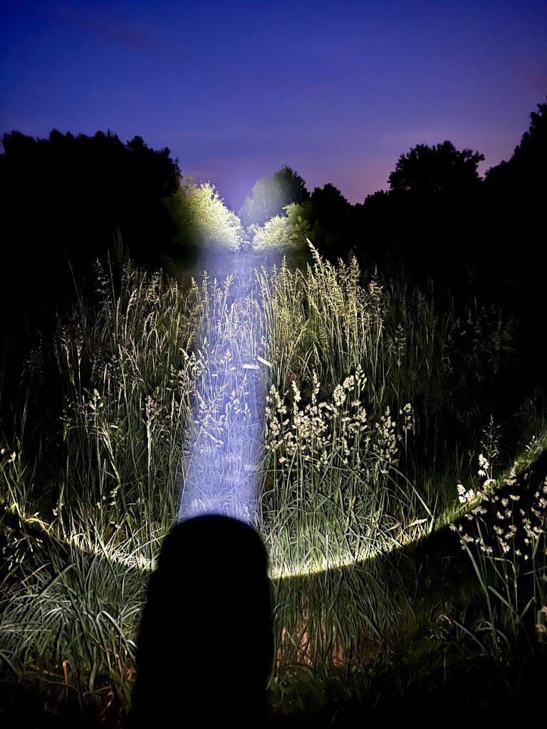 Ledlenser P7R LED Taschenlampe im Test