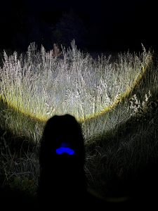 Shadowhawk ‎DE-FR-S1476 Taschenlampe im Test