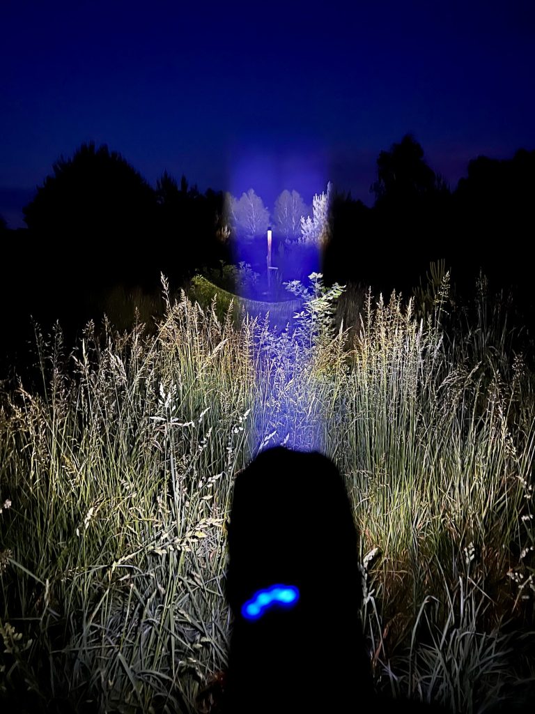 Shadowhawk DE-FR-S1476 Taschenlampe im Test